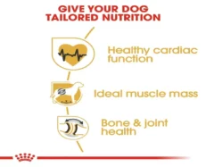 Royal Canin Rottweiler Adult Dog Dry Food at ithinkpets (4)