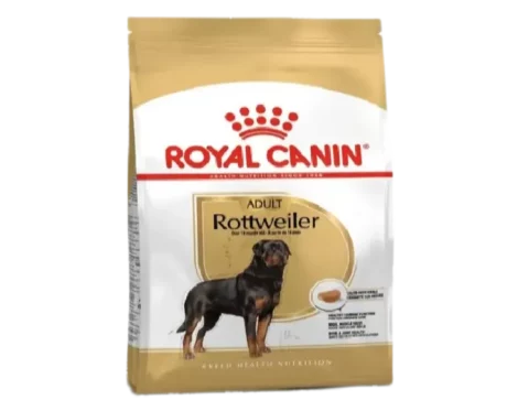 Royal Canin Rottweiler Adult Dog Dry Food at ithinkpets