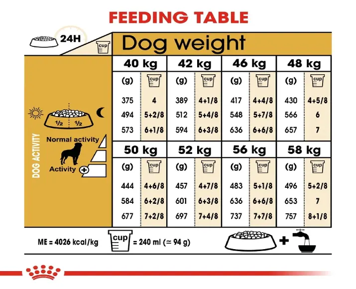 Royal Canin Rottweiler Adult Dog Dry Food at ithinkpets (6)