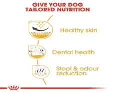 Royal Canin Shih Tzu Adult Dog Dry Food at ithinkpets (4)