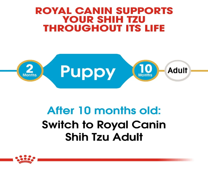 Royal Canin Shih Tzu Puppy Dog Dry Food at ithinkpets (1)