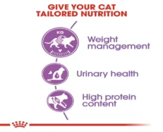 Royal Canin Sterilised Adult Cat Dry Food at ithinkpets (3)
