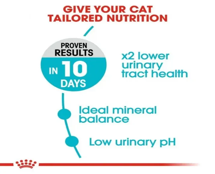 Royal Canin Urinary Care Adult Cat Dry Food at ithinkpets (4)