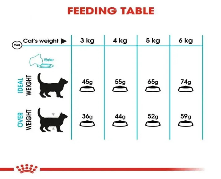 Royal Canin Urinary Care Adult Cat Dry Food at ithinkpets (6)