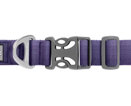 Ruffwear Front Range Collar Purple Sage at ithinkpets.com