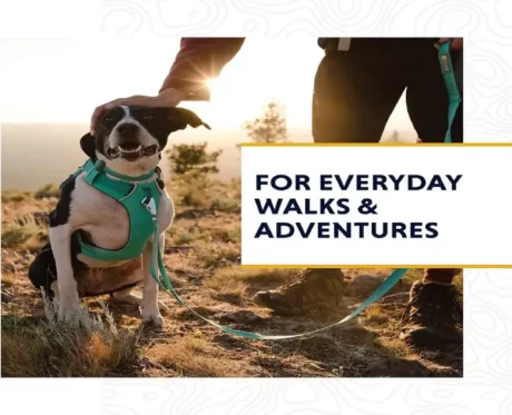 Ruffwear Front Range Dog Collar Aurora Teal at ithinkpets.com