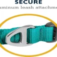 Ruffwear Front Range Dog Collar Aurora Teal