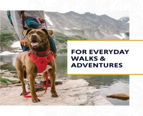Ruffwear Front Range Dog Collar Red Sumac at ithinkpets.com
