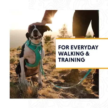 Ruffwear Front Range Dog Harness Aurora Teal at ithinkpets.com