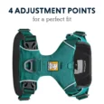 Ruffwear Front Range Dog Harness Aurora Teal, Reflective and Padded Harness for Training and Everyday Wear