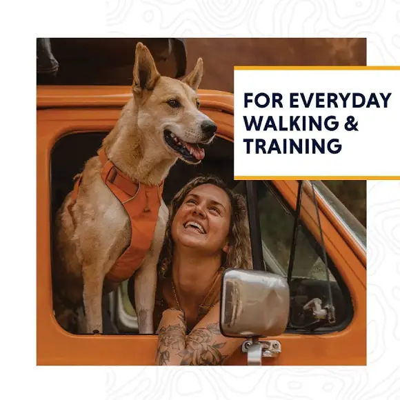 Ruffwear Front Range Dog Harness Campfire Orange at ithinkpets.com