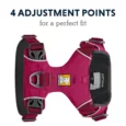 Ruffwear Front Range Dog Harness Hibiscus Pink, Reflective and Padded Harness for Training and Everyday Wear