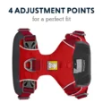 Ruffwear Front Range Dog Harness Red Sumac, Reflective and Padded Harness for Training and Everyday Wear