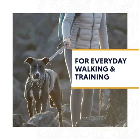 Ruffwear Front Range Dog Harness Twilight Gray at ithinkpets.com