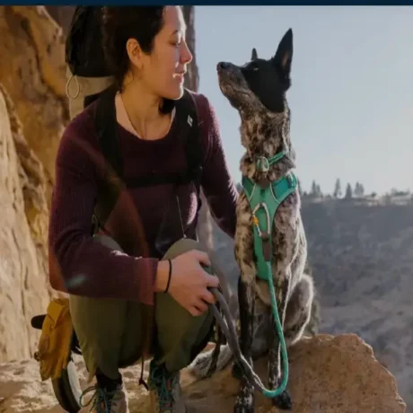 Ruffwear Knot a Leash Aurora Teal at ithinkpets.com