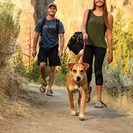 Ruffwear Knot a Leash Red Sumac at ithinkpets.com