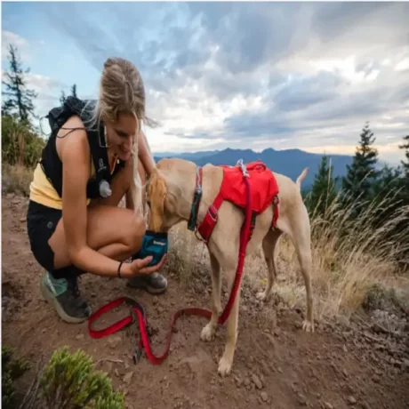 Ruffwear Switchbak Harness Red Sumac at ithinkpets.com