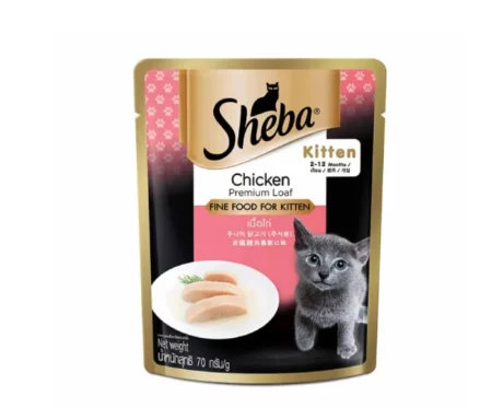Sheba Chicken Premium Loaf Wet Kitten Food at ithinkpets