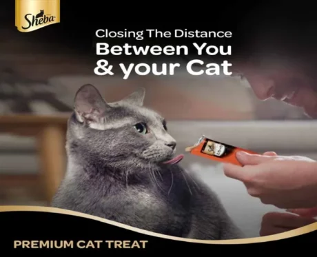 Sheba Melty Maguro Tuna & Seafood Flavour Cat Creamy Treat at ithinkpets