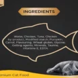 Sheba Rich Premium Tuna Pumpkin And Carrot In Gravy Adult Wet Cat Food, 70 gms