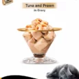 Sheba Tuna Fillets and Whole Prawns in Gravy Adult Wet Cat Food, 85 gms