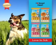 Smart Heart Creamy Treat Chicken and Pumpkin at ithinkpets.com