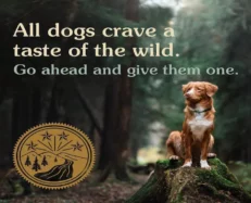 Taste of the Wild Pacific Stream Canine Smoked Salmon Adult Dry Dog Food Grain Free at ithinkpets