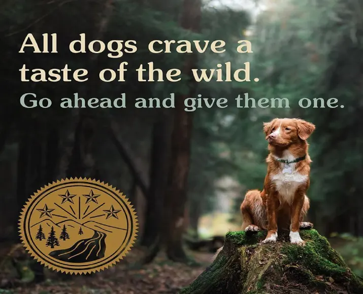 Taste of the Wild Pacific Stream Canine Smoked Salmon Adult Dry Dog Food Grain Free at ithinkpets (4)