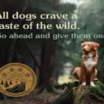 Taste of the Wild Sierra Mountain Roasted Lamb, Grain Free Dry Dog Food