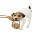 Trixie BE NORDIC Playing Rope with Woven in Ball 20 Cm