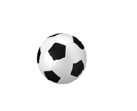 Trixie Football Vinyl Dog Toy Large 10 cm at ithinkpets.com (1)