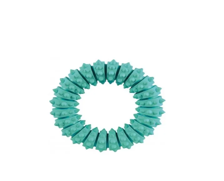 Trixie Natural Denta Fun Ring Mint Flavour 12 cm at ithinkpets.com (1)