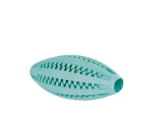 Trixie Natural Denta Fun Rugby Ball Mint Flavour 11 cm at ithinkpets.com (1)