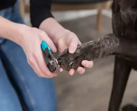 Trixie Pet Nail Clipper Cutter Dogs & Cats at ithinkpets.com (2)