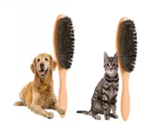 Trixie Wooden Brush With Natural Bristle Cats & Dogs at ithinkpets.com (2)