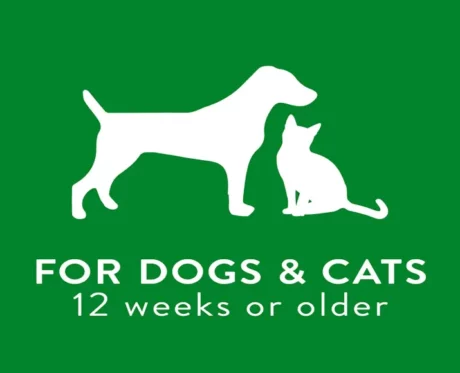 TropiClean Lime and Cocoa Butter Shed Control Conditioner at ithinkpets (4)