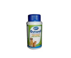 VENWORLD Gutwell Powder- Supplement for Digestion & Immunity,100 Gms at ithinkpets-1