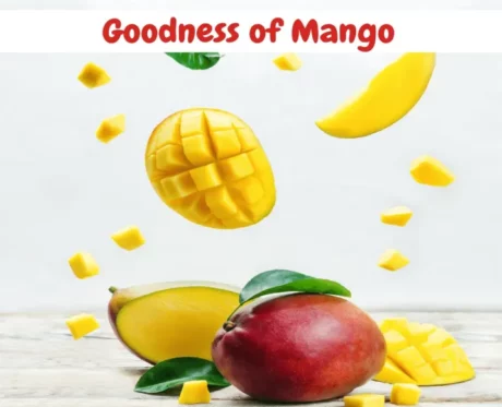 Waggy Zone Doggy Ice Cream Mango Magnifera 40 Gms at ithinkpets.com (2)