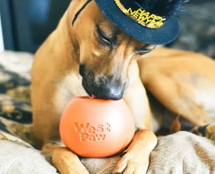 https://ithinkpets.com/wp-content/uploads/2023/03/West-Paw-Rumbl-Melon-Dog-Chew-Toy-at-ithinkpets.com-3.webp