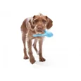 West Paw Tizzi Toy For Adult Dogs And Puppies Blue