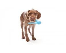 West Paw Tizzi Toy For Adult Dogs And Puppies Blue at ithinkpets.com (2)