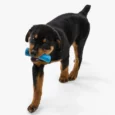 West Paw Zogoflex Drifty Toy For Dogs And Puppies Blue