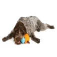 West Paw Zogoflex Toppl Treat Toy For Dogs And Puppies Green