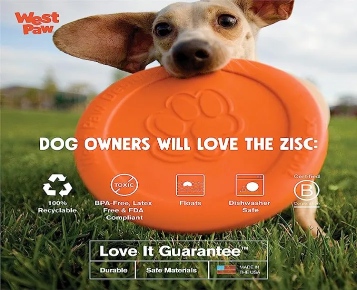 West Paw zogoflex zisc Frisbee for Adult Dogs and Puppies Orange at ithinkpets.com (4)