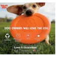 West Paw zogoflex zisc Frisbee Toy for Dogs, Green