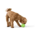 West Paw Rumbl Jungle Green Dog Chew Toy
