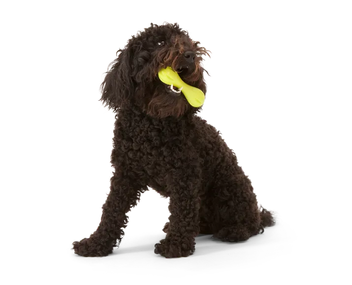 Westpaw Zogoflex Hurley Bone Dog Chew Toy Green at ithinkpets.com (4)