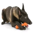 Westpaw Zogoflex Hurley Bone Dog Chew Toy Orange