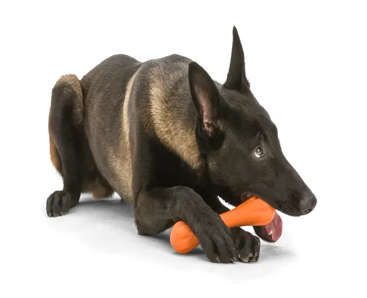 Westpaw Zogoflex Hurley Bone Dog Chew Toy Orange at ithinkpets.com (5)