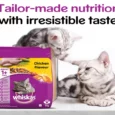 Whiskas Chicken Adult Dry Cat Food,(+1 year)